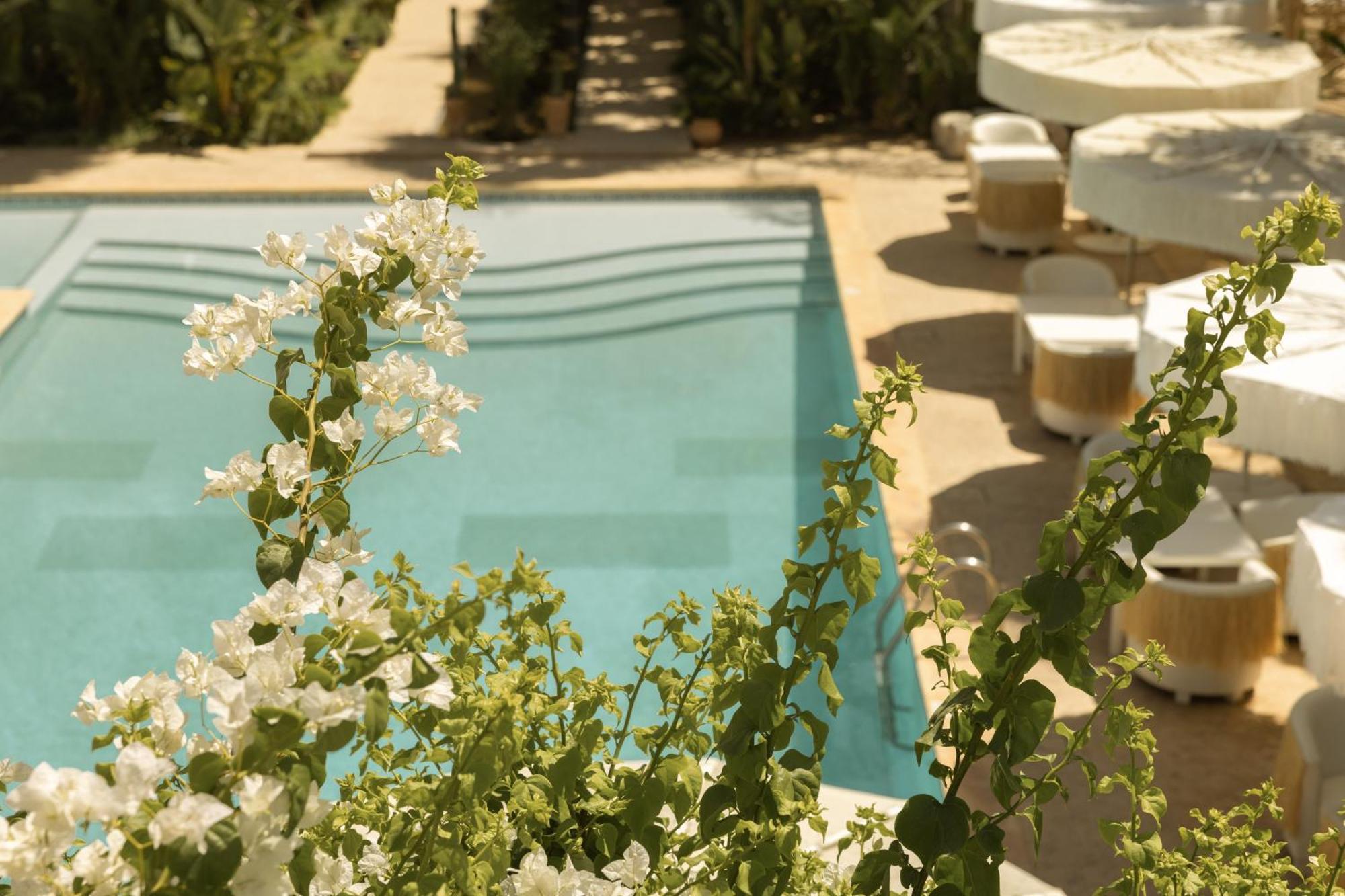 Les Palmiers Boutique Hotel & Spa Marraquexe Exterior foto